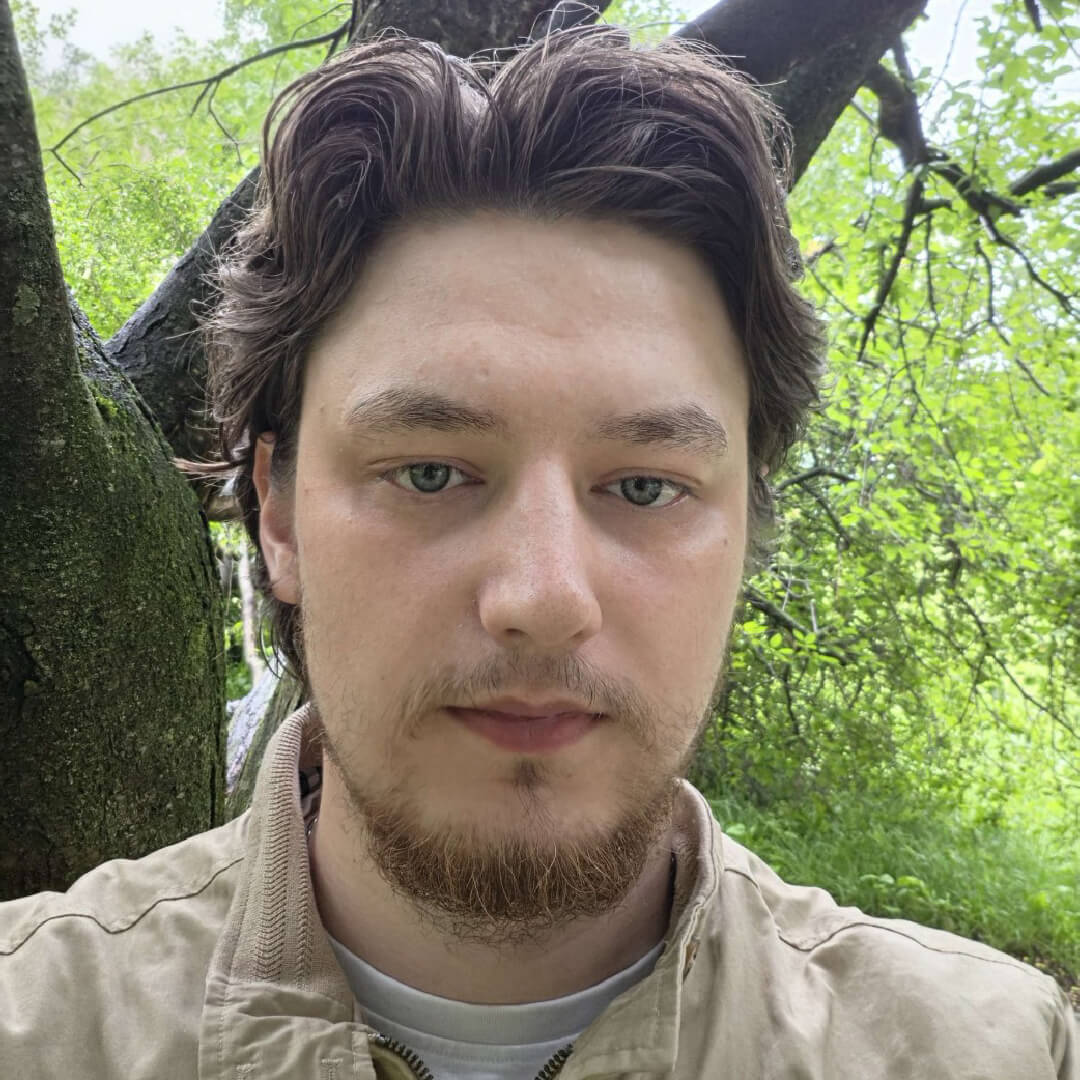 Head and shoulders picture of Elvinas Mikulin